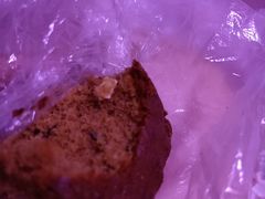 -五道口枣糕王(成府路店)