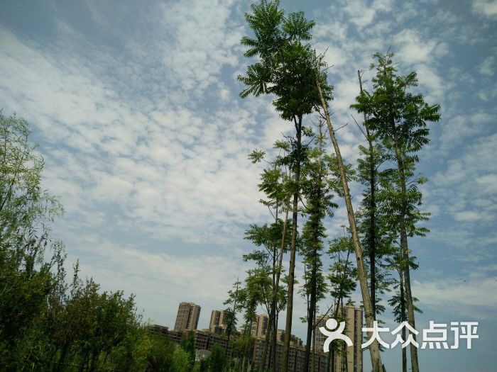 香城溼地公園-圖片-新都區周邊遊-大眾點評網