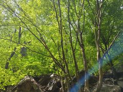 -九龙潭景区