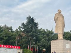 -茶颜悦色(登高路上店)