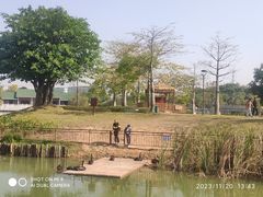 -王借岗森林公园