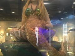 -成都泰迪熊博物馆