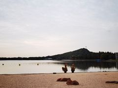 -上海月湖雕塑公园