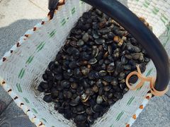 -那香海钻石沙滩浴场