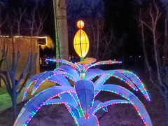 -南宫五洲植物乐园