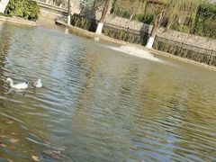 -西安市长乐公园