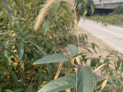 -江苏省惠山中等专业学校