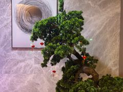 -尚荟汤泉生活馆