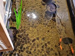 -邈墨茶馆(凤起路店)