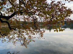 -菱湖风景区