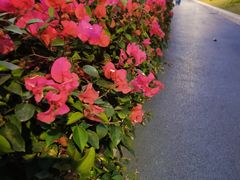 -深圳湾公园(南山区)