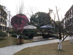 -成都安仁福朋喜来登酒店