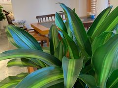 -阿鹏故事野生菌火锅(双廊古镇店)