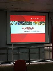 我们公司的活动，娃娃家来做的-娃娃美甲wawa nail salon