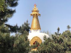-护国法轮寺
