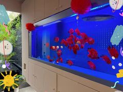 -宫七SPA·高端Massage(浦东大道店)