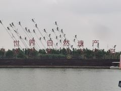 -南大港湿地风景区