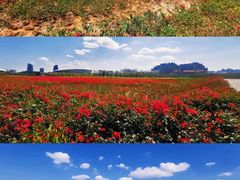 -海花岛旅游度假区