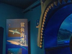 -上海海洋水族馆