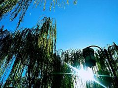 -济南大明湖景区