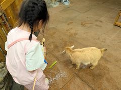 -正佳雨林生态植物园