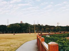 -紫马岭公园