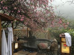 -黄山温泉国际旅游度假区