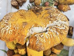 -云南木水花野生菌交易中心