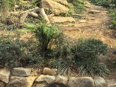 -石排湾郊野公园