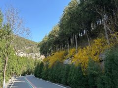 -佛慧山