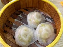 苦瓜饺-杨记杏仁茶(椰园店)