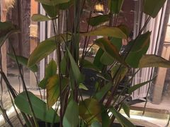 -都氏家DUSJOY(翡翠城店)