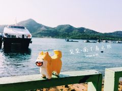 -南丫岛