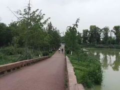 -白鹭湾湿地公园