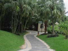 IMG_4301-三亚亚龙湾凯莱仙人掌度假酒店