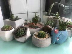 -蜜蜂小象·榴莲千层蛋糕(时代汇11栋店)