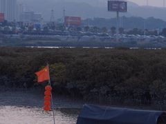 -洛阳桥