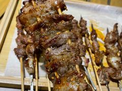 -山野的朋友露营炭火烤肉