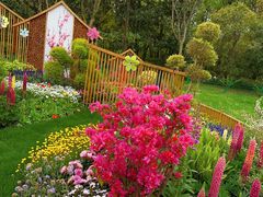 -上海共青森林公园