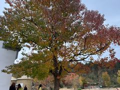 -塔川景区