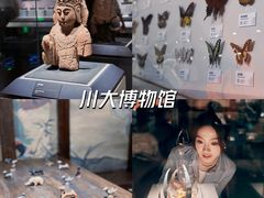 -四川大学博物馆