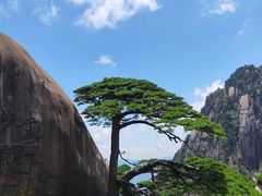 -黄山风景区