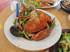 -大树下海鲜饭店