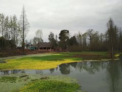 -桤木河湿地公园