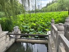 -包公祠
