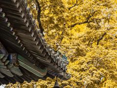 -潭柘寺景区
