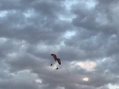 -迪拜沙漠冲沙
