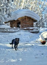 -大秃顶子山(雪谷店)