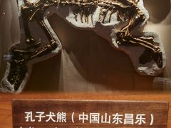 -上海自然博物馆