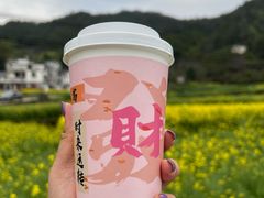 -上坦村